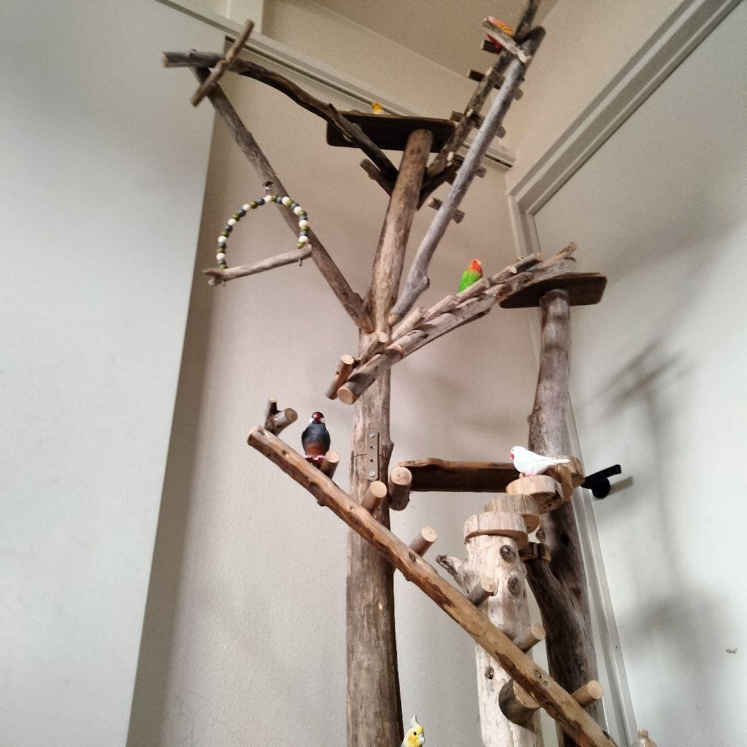 まっきー バードアスレチックジム大型 天然木 自然木 止まり木 インコ