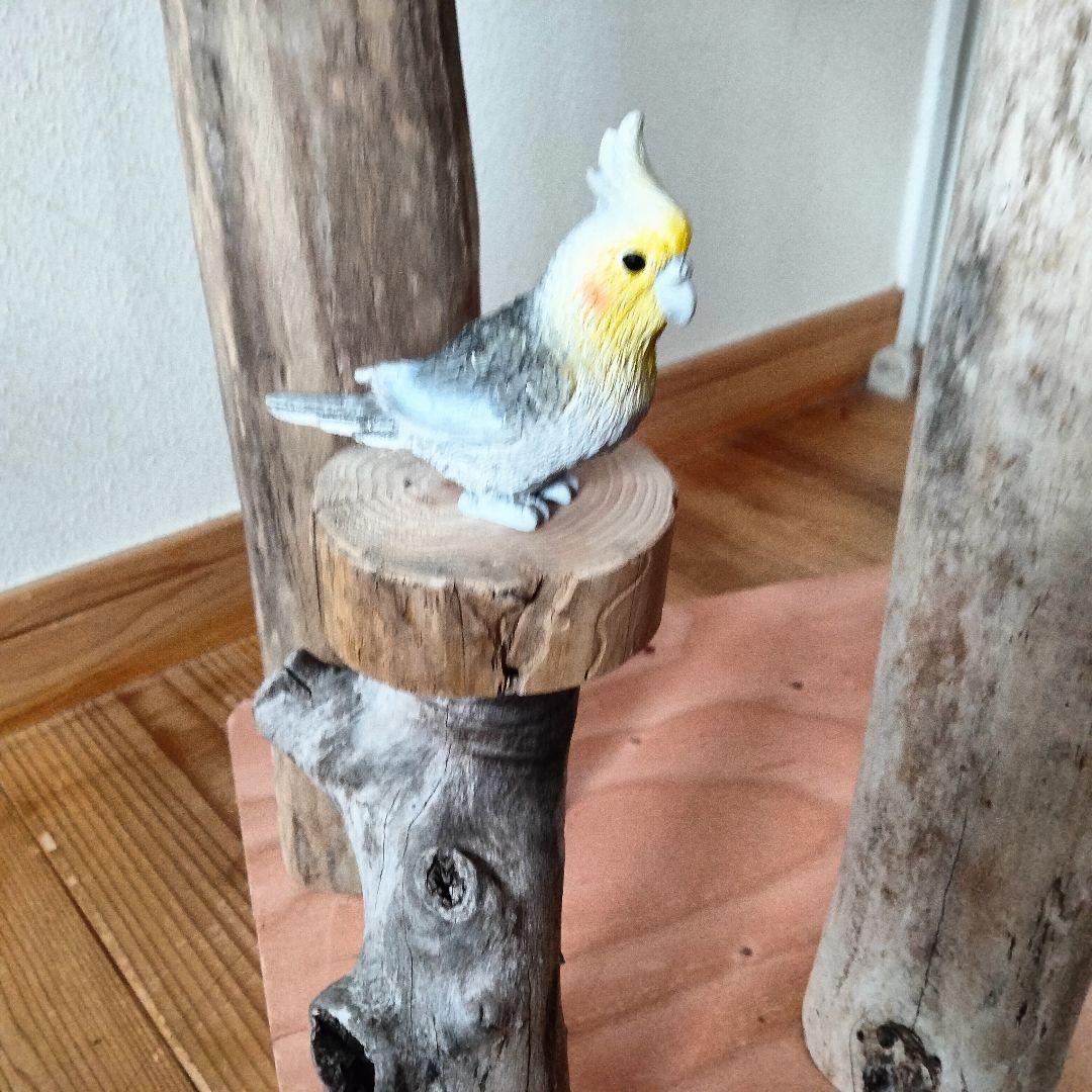 まっきー バードアスレチックジム大型 天然木 自然木 止まり木 インコ