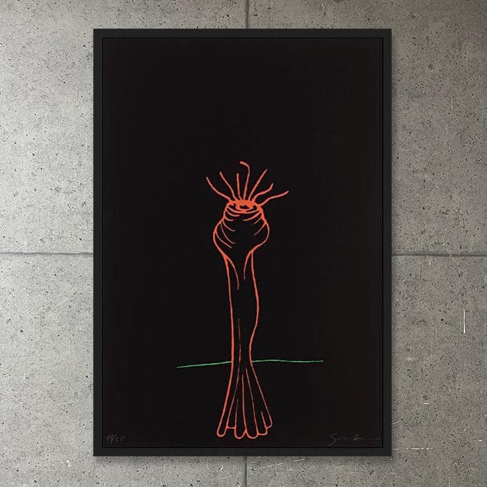 額装品/Calcot/ゴンサロ テナ/限定65枚/アート/サイン・ナンバリング入