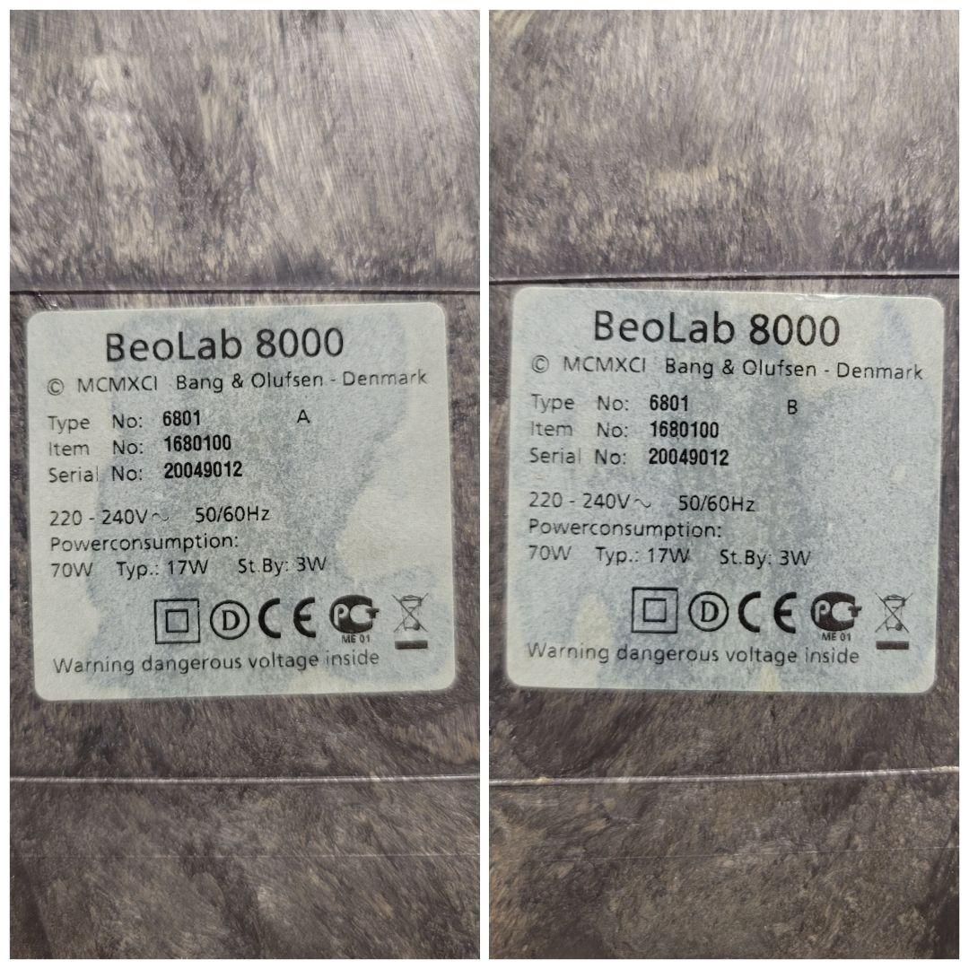 B&O バング&オルフセン BeoLab 8000 スピーカーペア天然木ケース