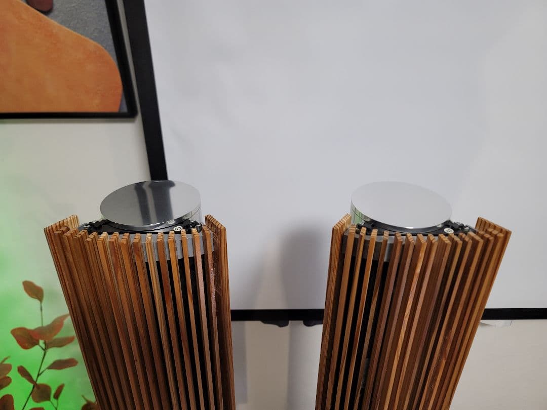 B&O バング&オルフセン BeoLab 8000 スピーカーペア天然木ケース