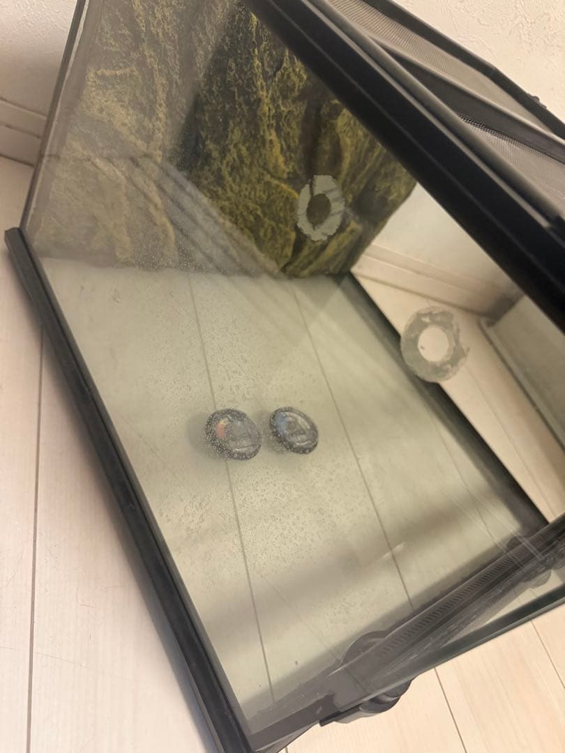 GEX EXOTERRA グラステラリウム 4530