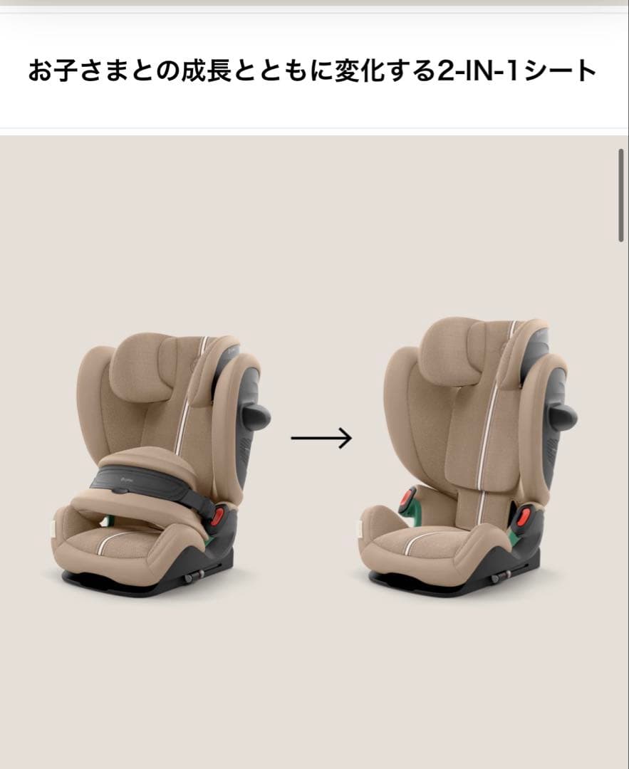 サイベックス　パラスG2 未開封