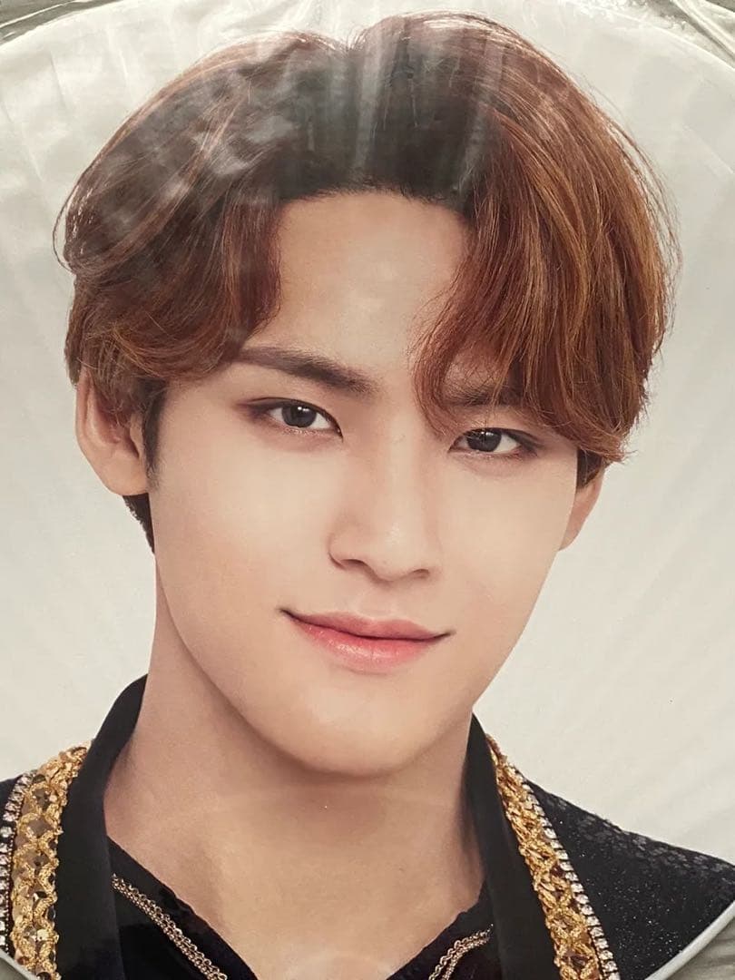 SEVENTEEN セブンティーン セブチ ミンギュ うちわ 団扇 セット