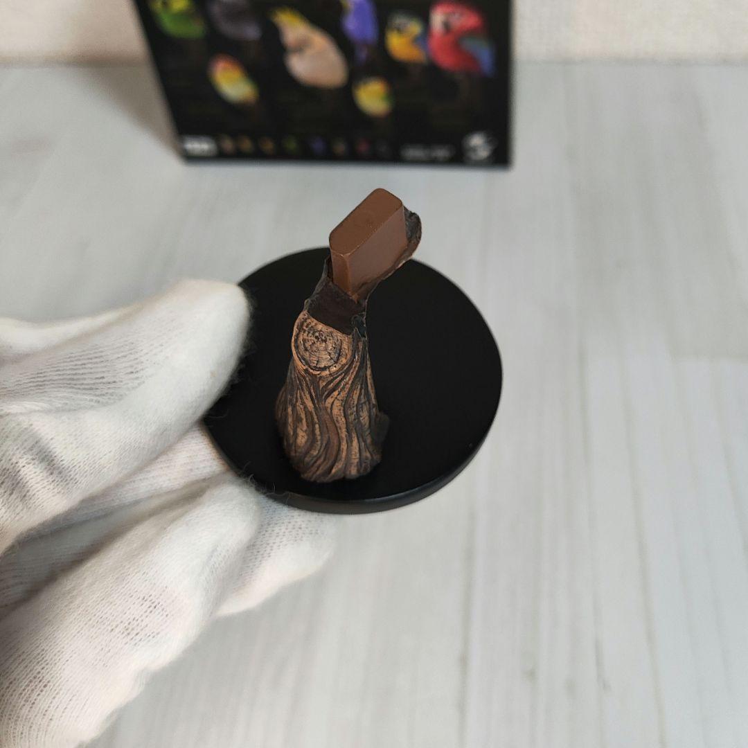 新年企画【動物の惑星】★アカオクロオウム（シークレット）★フィギュア