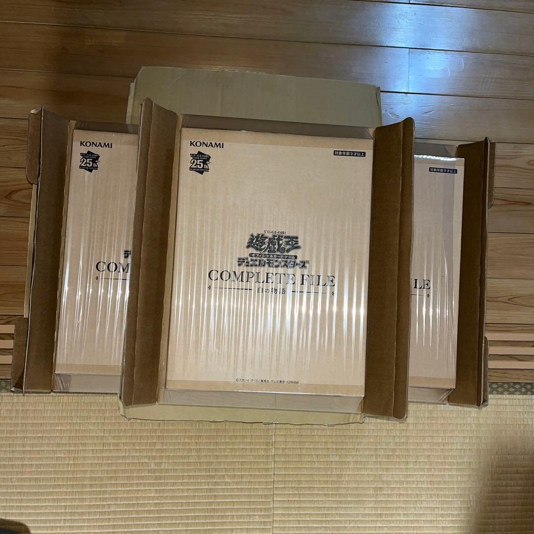 遊戯王OCGデュエルモンスターズ COMPLETE FILE －白の物語－