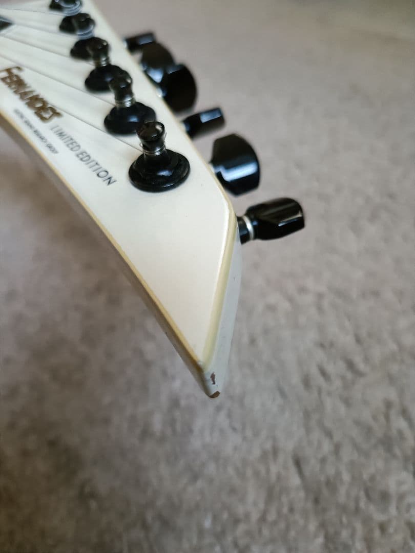 フェルナンデス TEJ limited edition サスティナー搭載