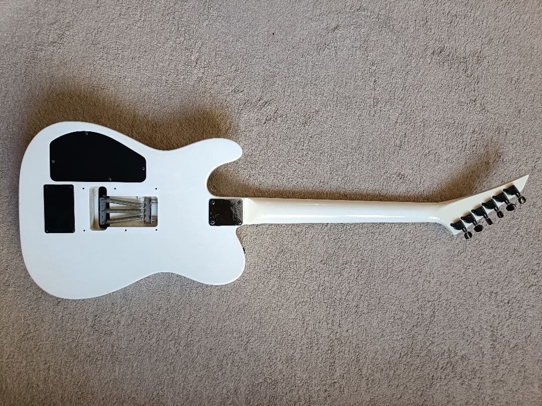 フェルナンデス TEJ limited edition サスティナー搭載