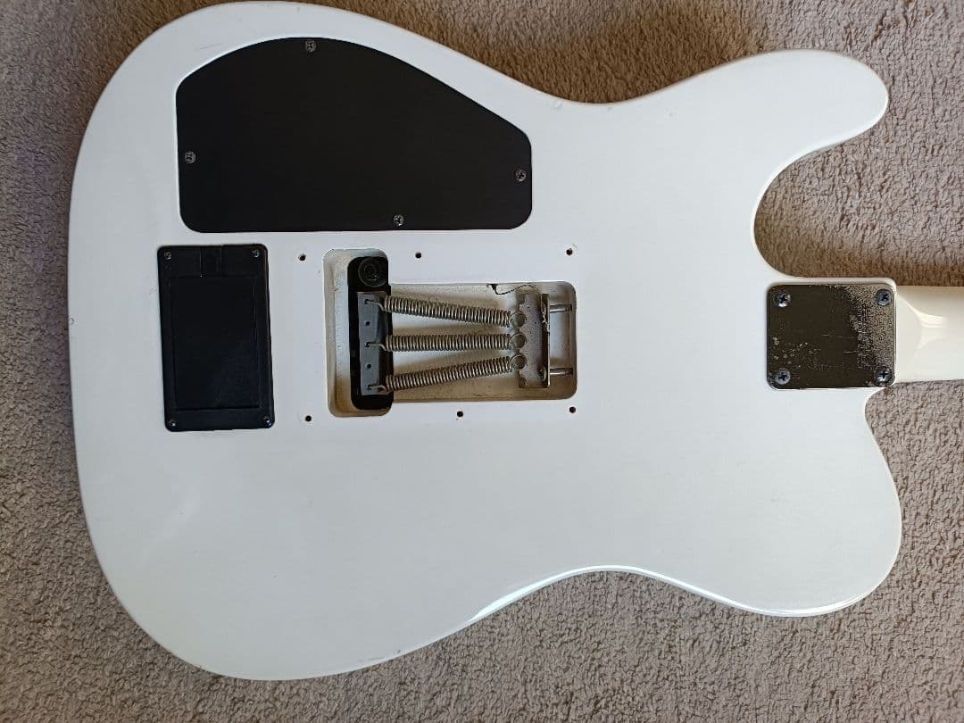 フェルナンデス TEJ limited edition サスティナー搭載