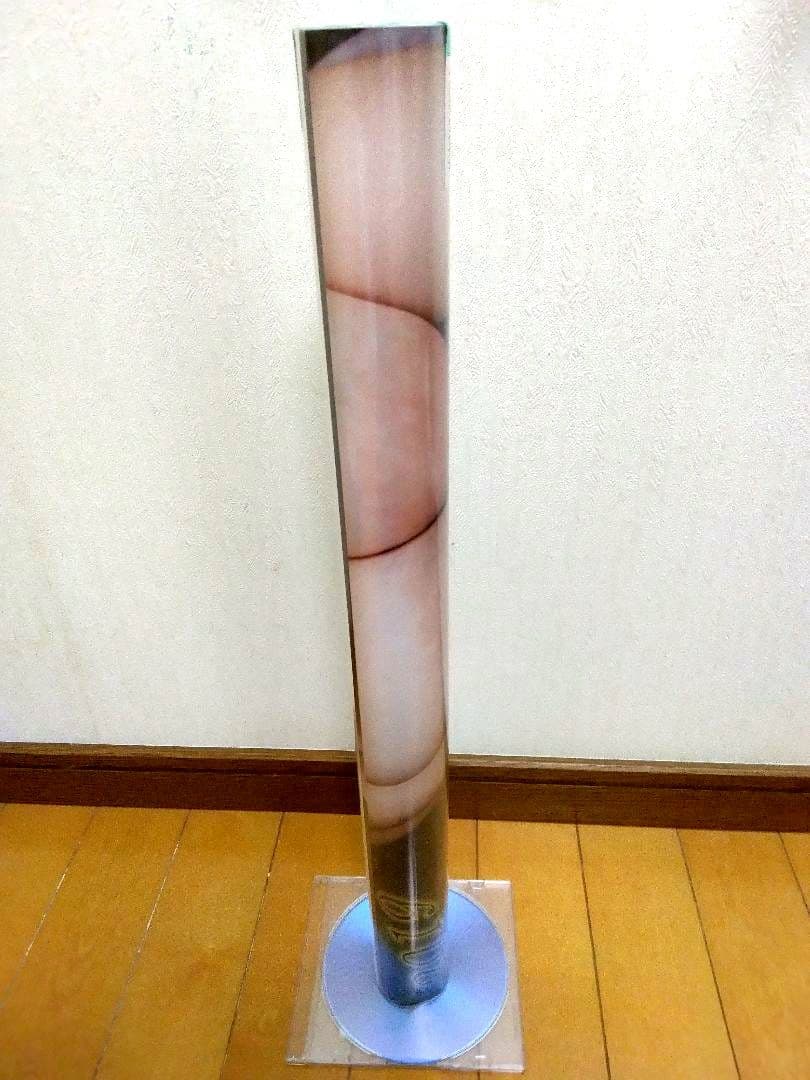 益坂美亜 カレンダー タテ73センチ 特大B2サイズ 8枚構成 2019 未開封