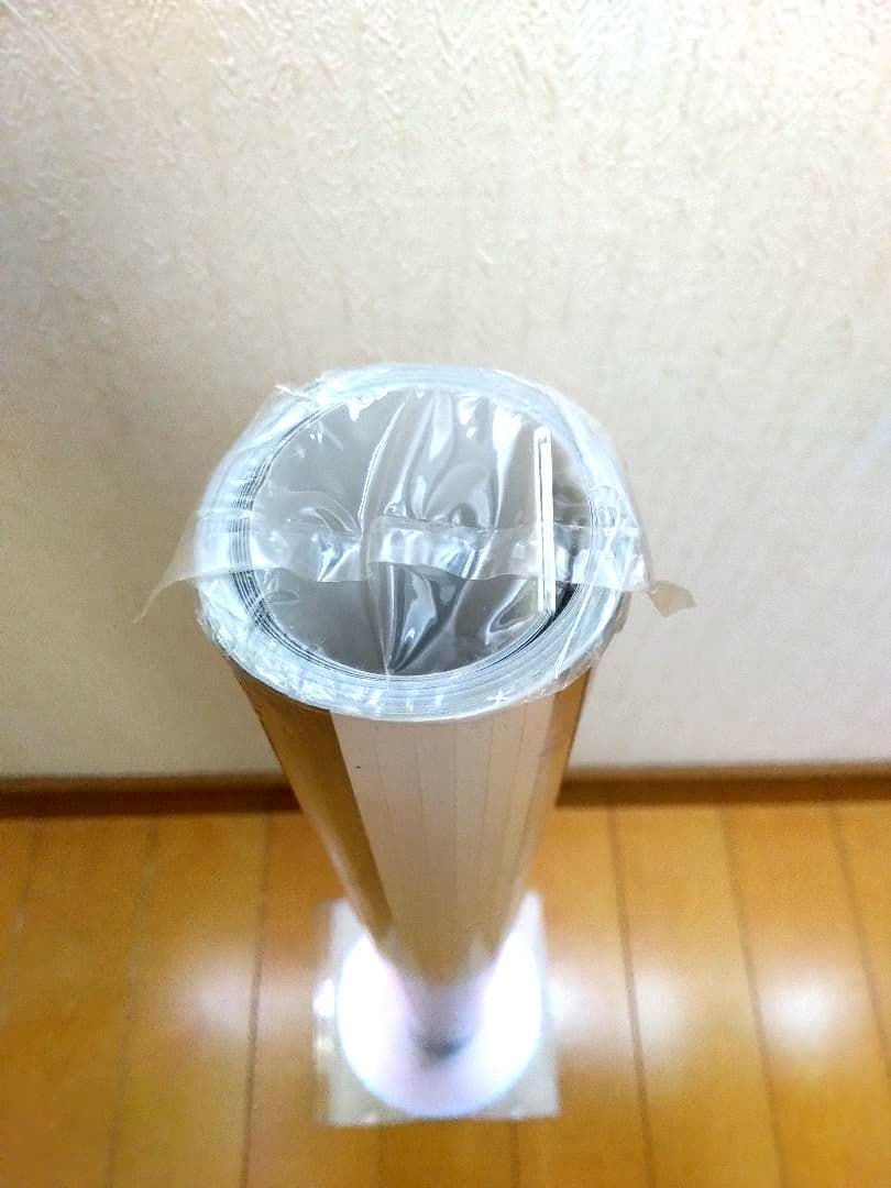 益坂美亜 カレンダー タテ73センチ 特大B2サイズ 8枚構成 2019 未開封