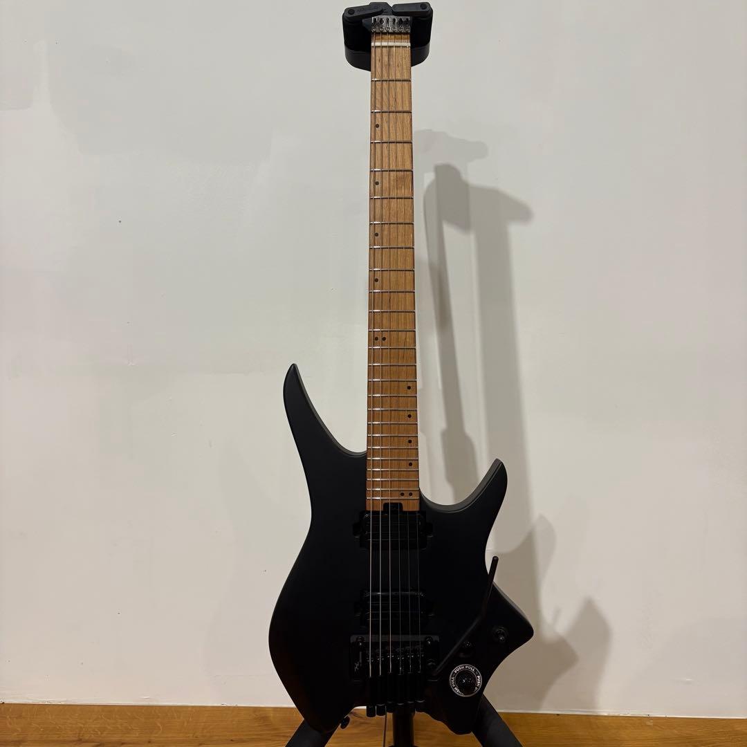 ギター HEX Guitars / N500P Black