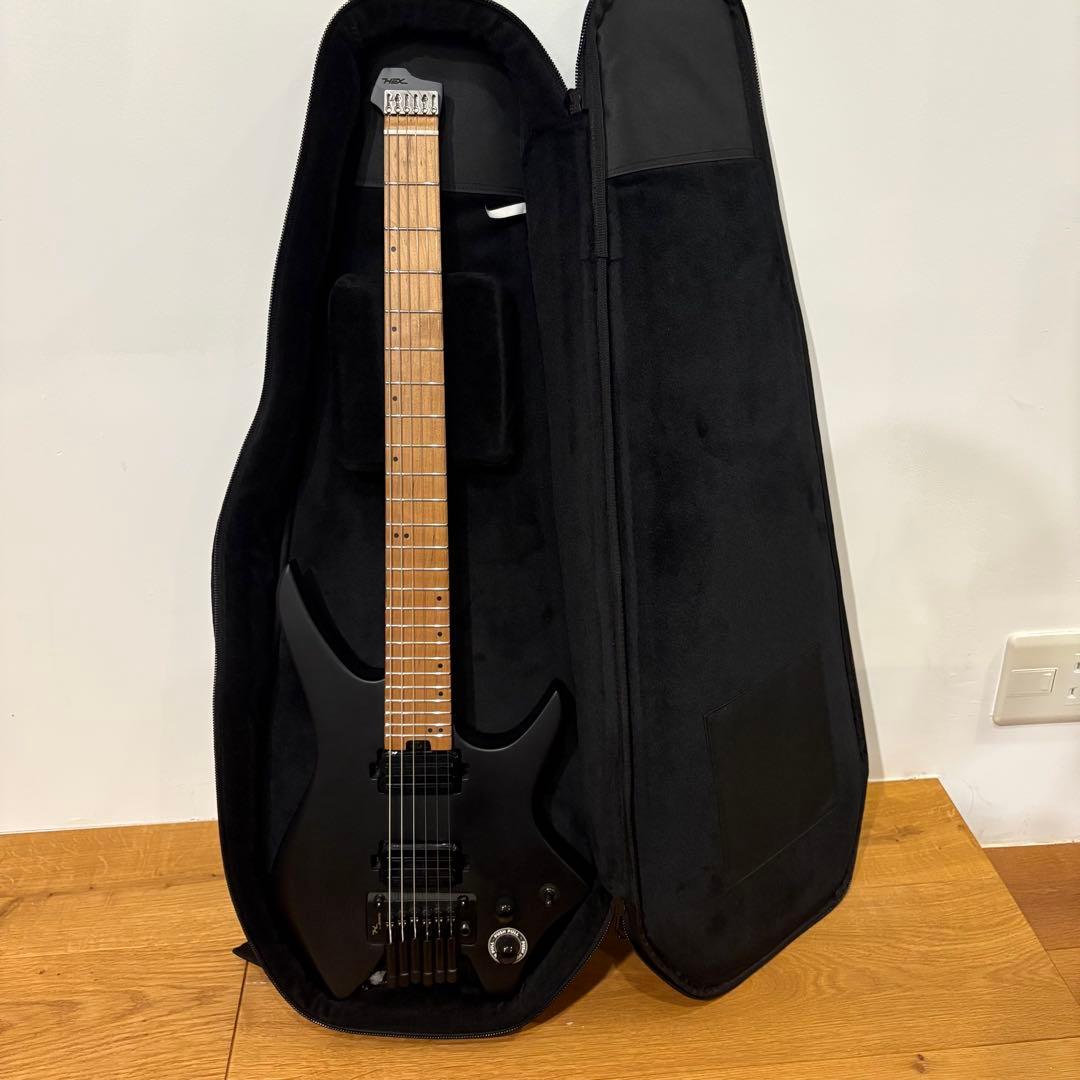 ギター HEX Guitars / N500P Black