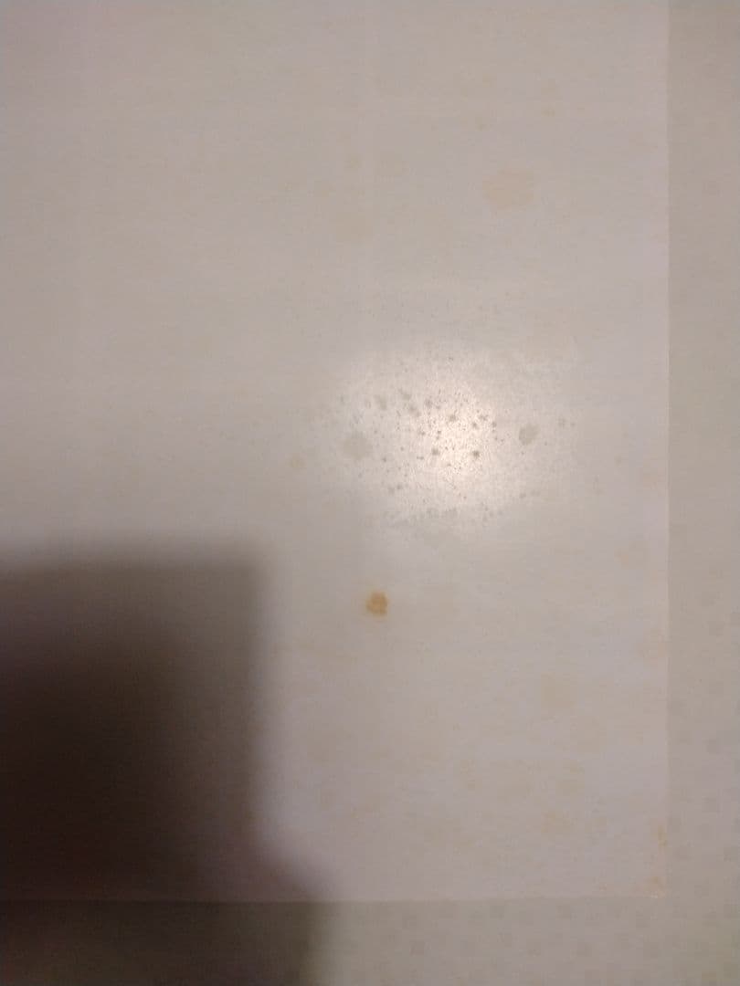 幻夢戦記レダ　いのまたむつみ　アニメ版　B2サイズ　ポスター　当時物