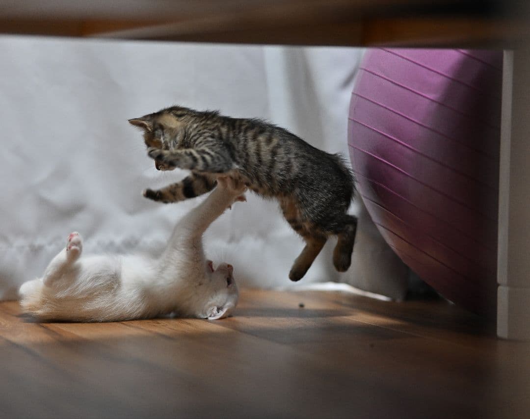 VILTROX AF 85mm F1.8 Zマウント 単焦点レンズ