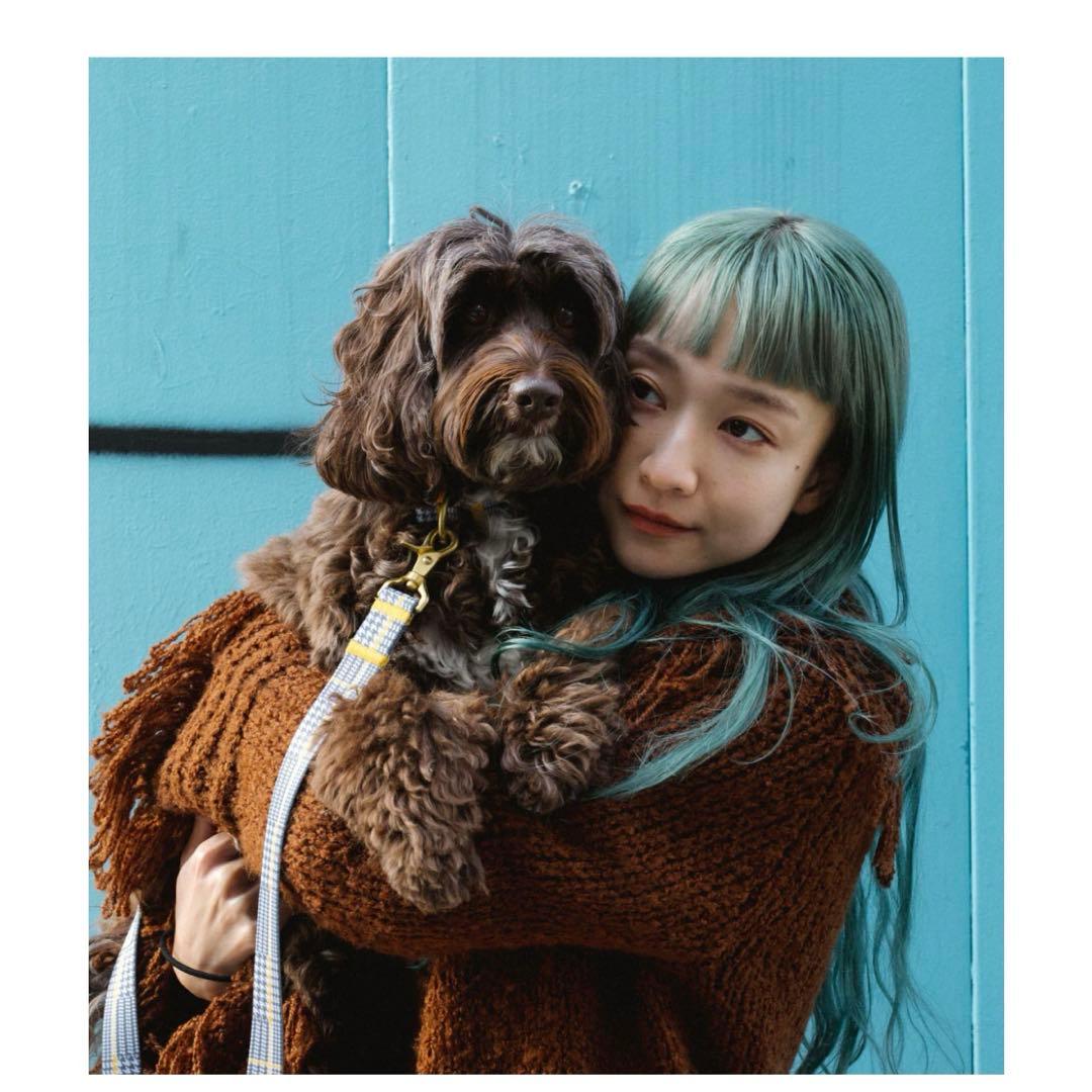 citron 犬用ハーネス グレー・チェックハーネスセット Matthew