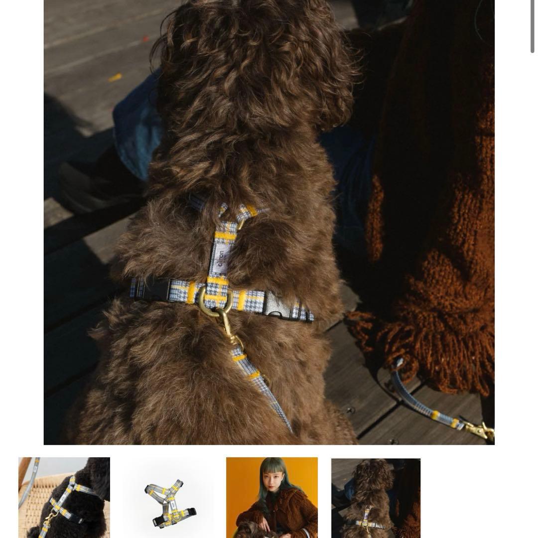 citron 犬用ハーネス グレー・チェックハーネスセット Matthew