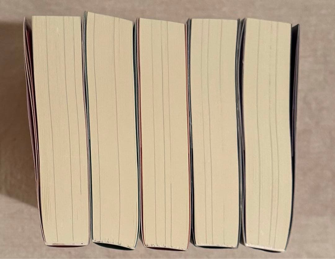 二哈和他的白猫師 (ハスキーと彼の白猫師尊) 小説 日本語版 第一巻〜第五巻