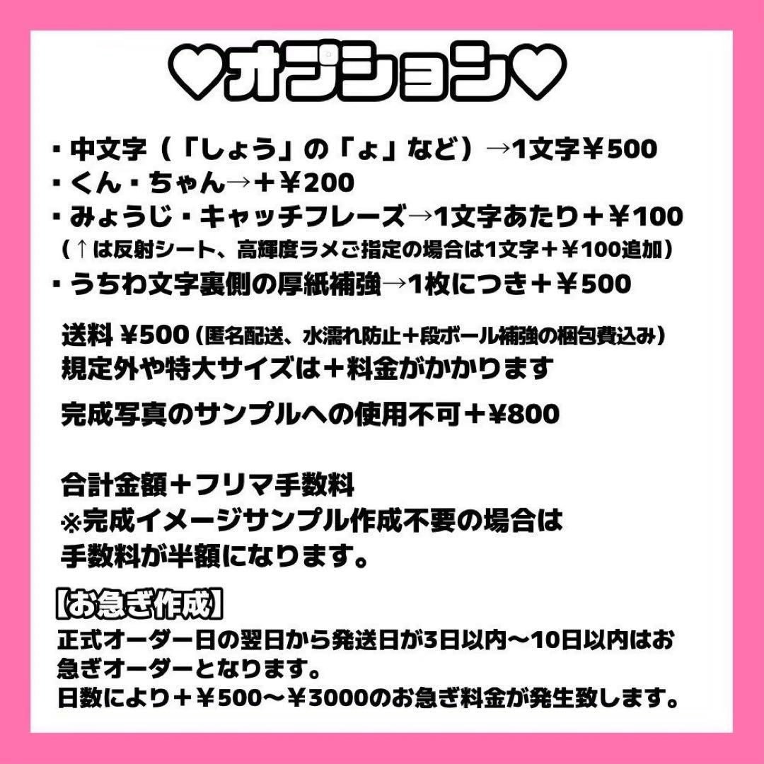 【必着日：無し】☆☆☆様 オーダーページ B4