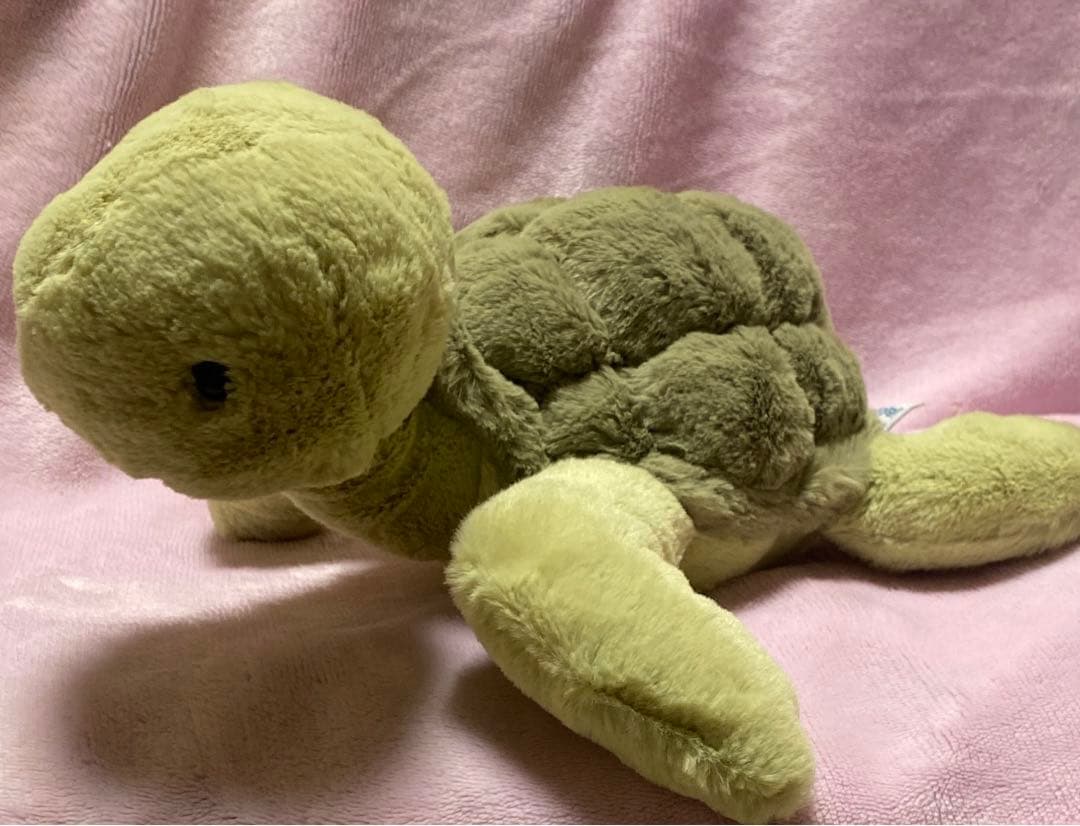  亀 Tully Turtle ぬいぐるみジェリーキャット