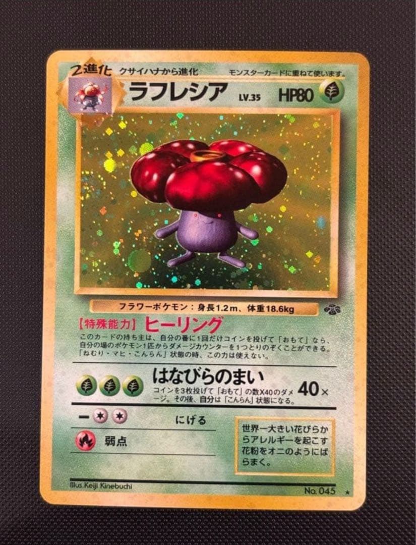 YSK様 リクエスト 2点 （リザードン他7枚+ロケット団64枚ポスター付き）