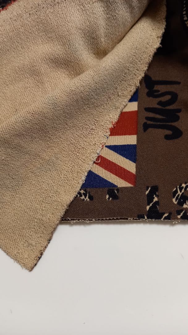 ユニオンジャックの犬の服　着画あり