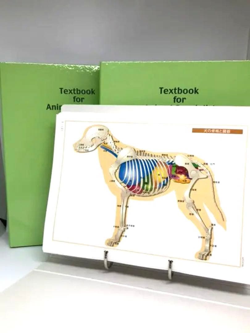 【ほぼ新品】動物看護士 動物介護士 の勉強が出来る