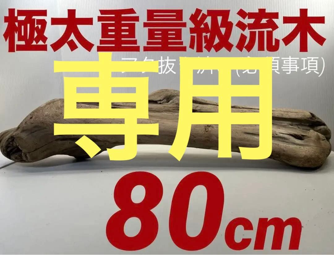n42特大流木 大型流木 アク抜き済み 爬虫類シェルター レイアウト用 登り木