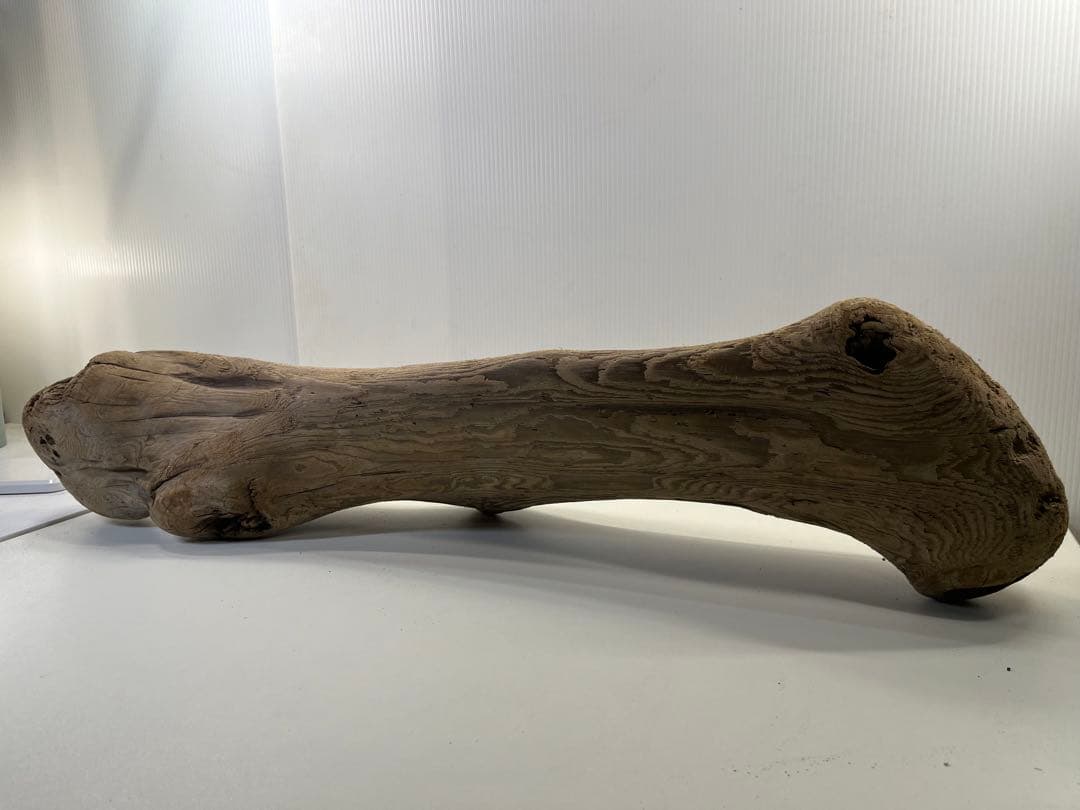 n42特大流木 大型流木 アク抜き済み 爬虫類シェルター レイアウト用 登り木