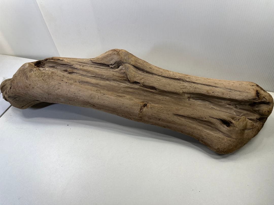 n42特大流木 大型流木 アク抜き済み 爬虫類シェルター レイアウト用 登り木