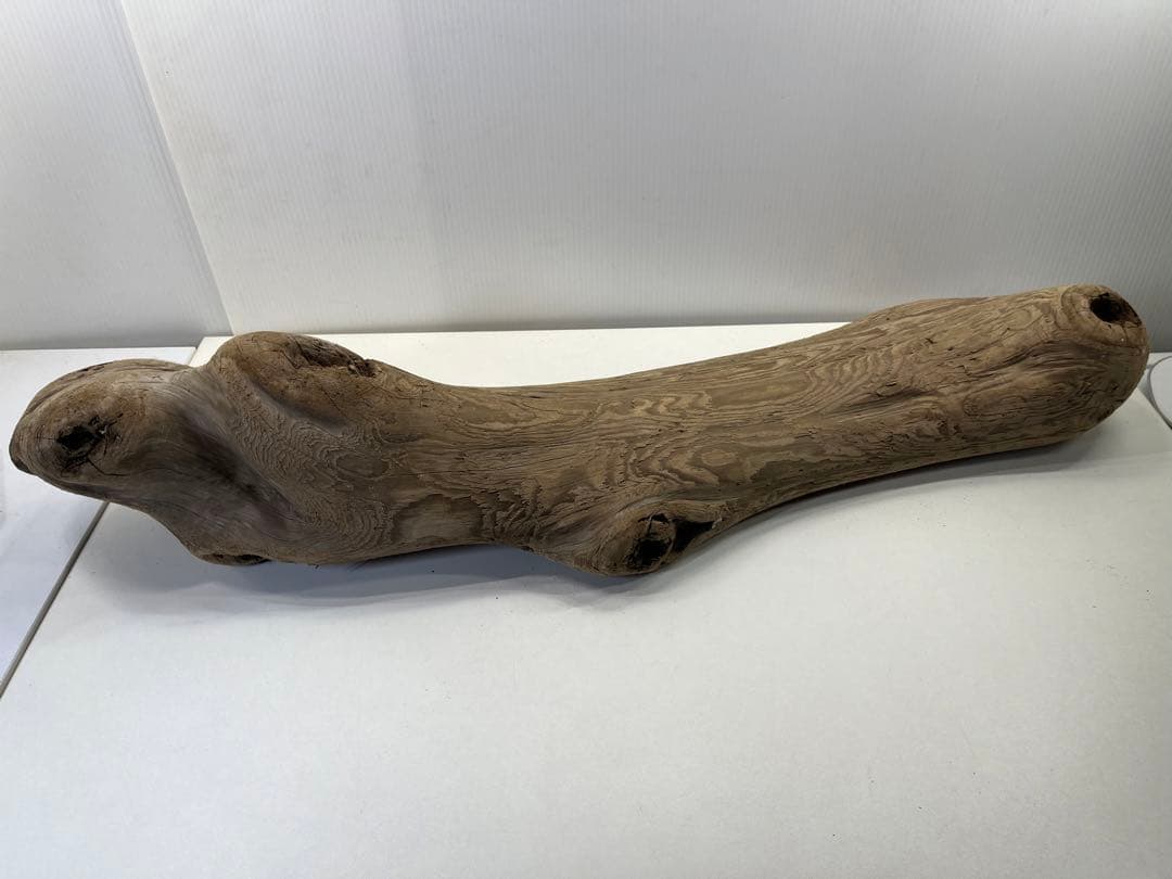 n42特大流木 大型流木 アク抜き済み 爬虫類シェルター レイアウト用 登り木