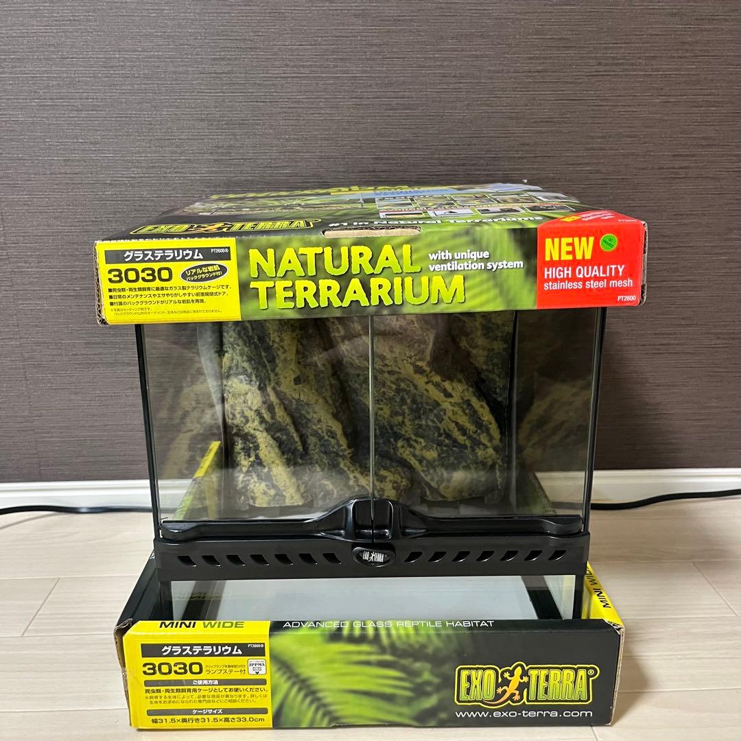 エキゾテラGEX EXOTERRA グラステラリウム 3030 爬虫類飼育ケージ
