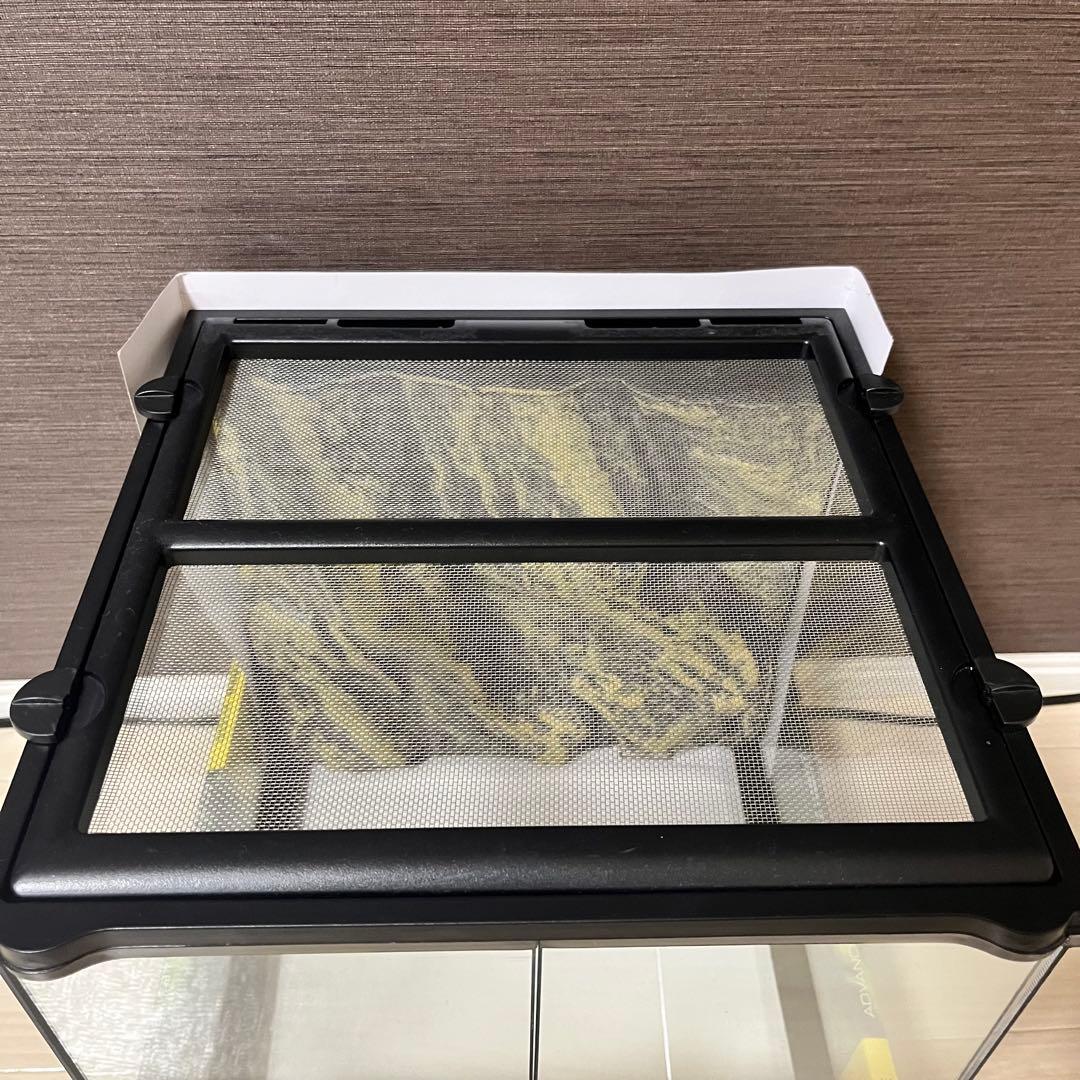 エキゾテラGEX EXOTERRA グラステラリウム 3030 爬虫類飼育ケージ