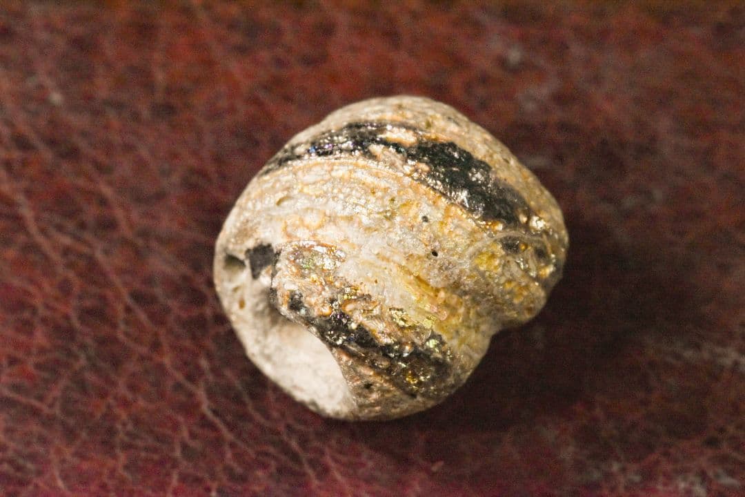 紀元前後 アフガニスタン出土 金化ローマングラスビーズ