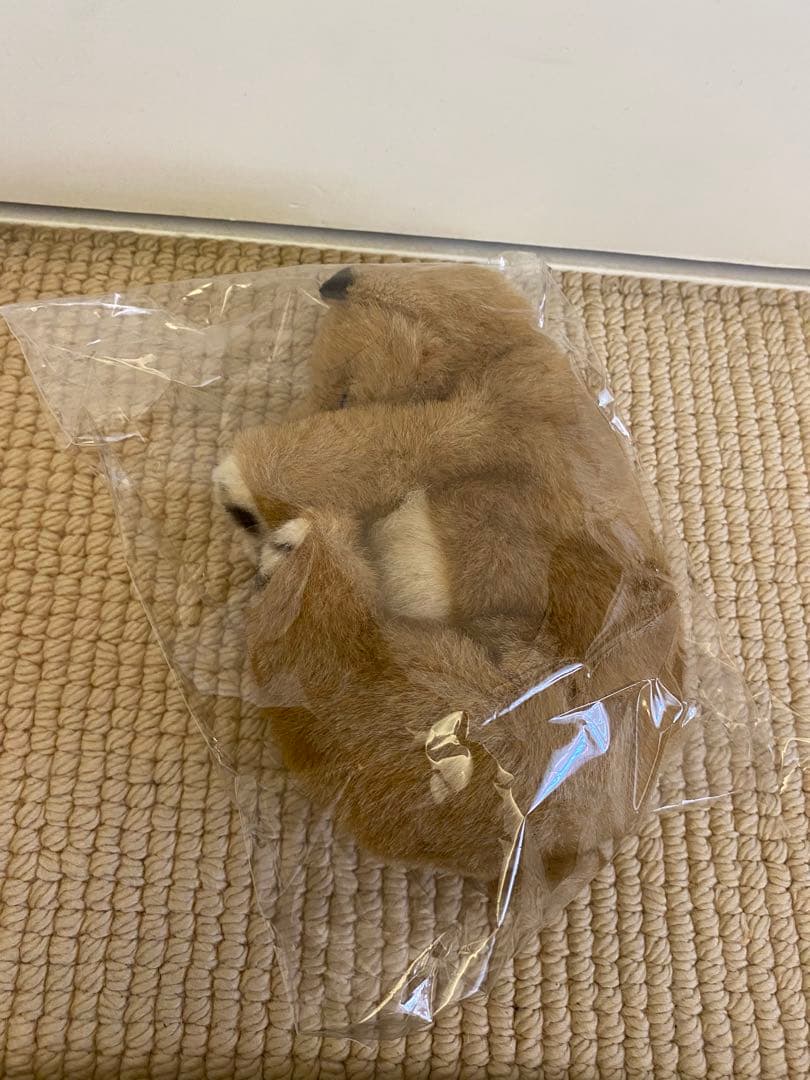 四季オリジナル　柴犬　眠り　ぬいぐるみ　美品