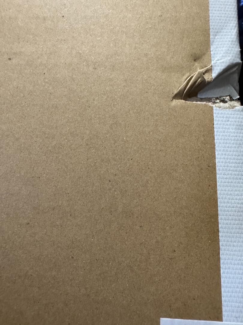 お花がスパークル！　村上隆　ED300　サイン入りポスター