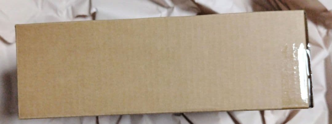 S.H.Figuarts　真骨彫製法　仮面ライダー1号（桜島Ver.）栄光の〜