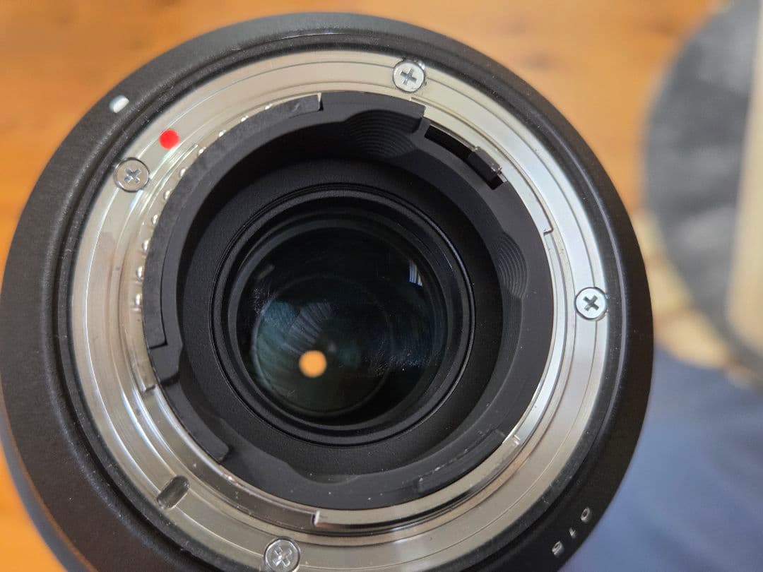 SIGMA 150-600mm F5-6.3 DG 望遠レンズ Nikon