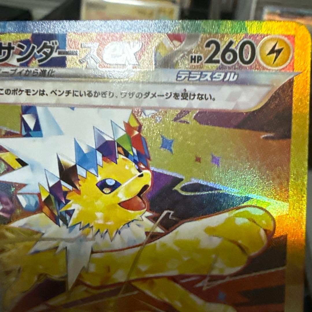 ゴ*ね様 サンダースex SAR SV8a テラスタルフェスex 209/187