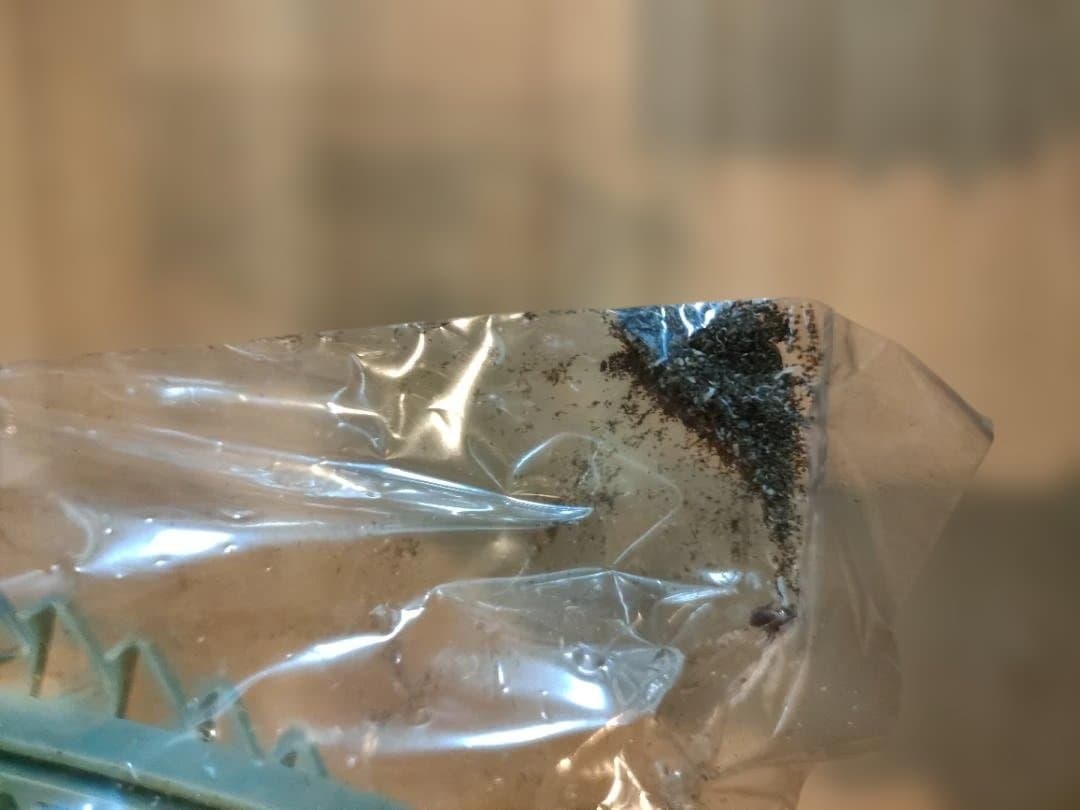 【レア・箱なし・難あり】ブルマァク 勝鬨橋 プラモデル