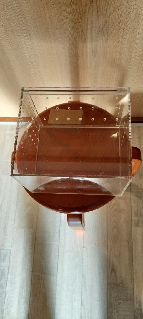 アクリル 虫かご 昆虫飼育ケース