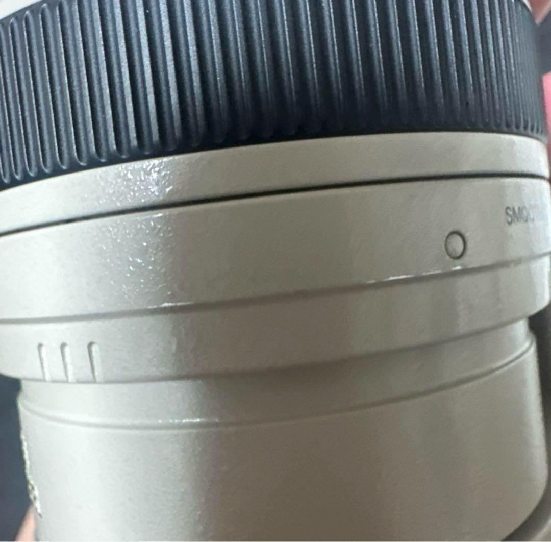 Canon EF100-400F4.5-5.6L IS USM レンズ