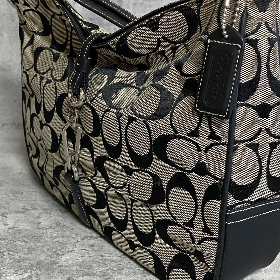 ✨極美品✨COACH コーチ シグネチャー ショルダーバッグ 6091 Y2K