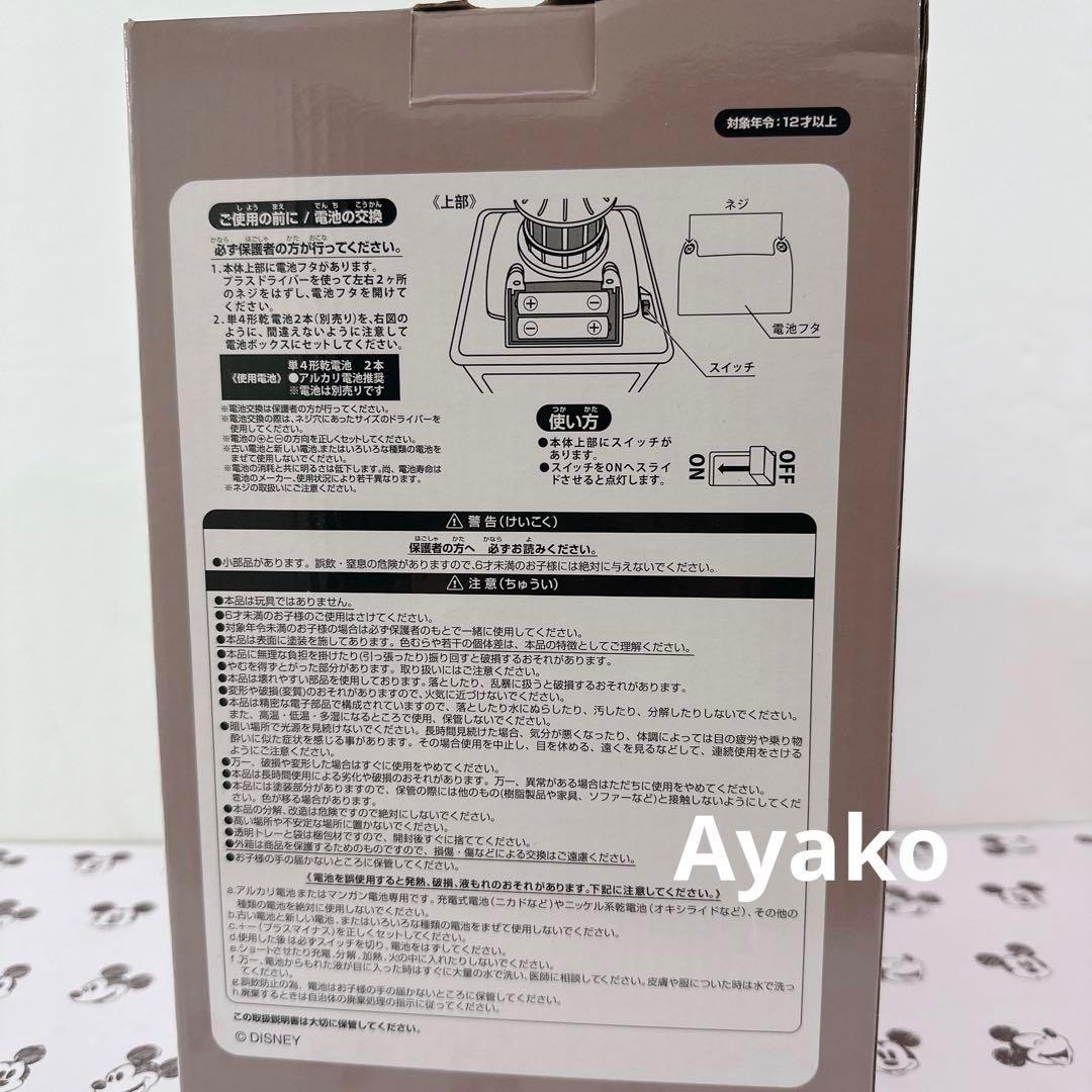 ダッフィー&シェリーメイ　インテリアライト　ディズニーシー　ウィンター