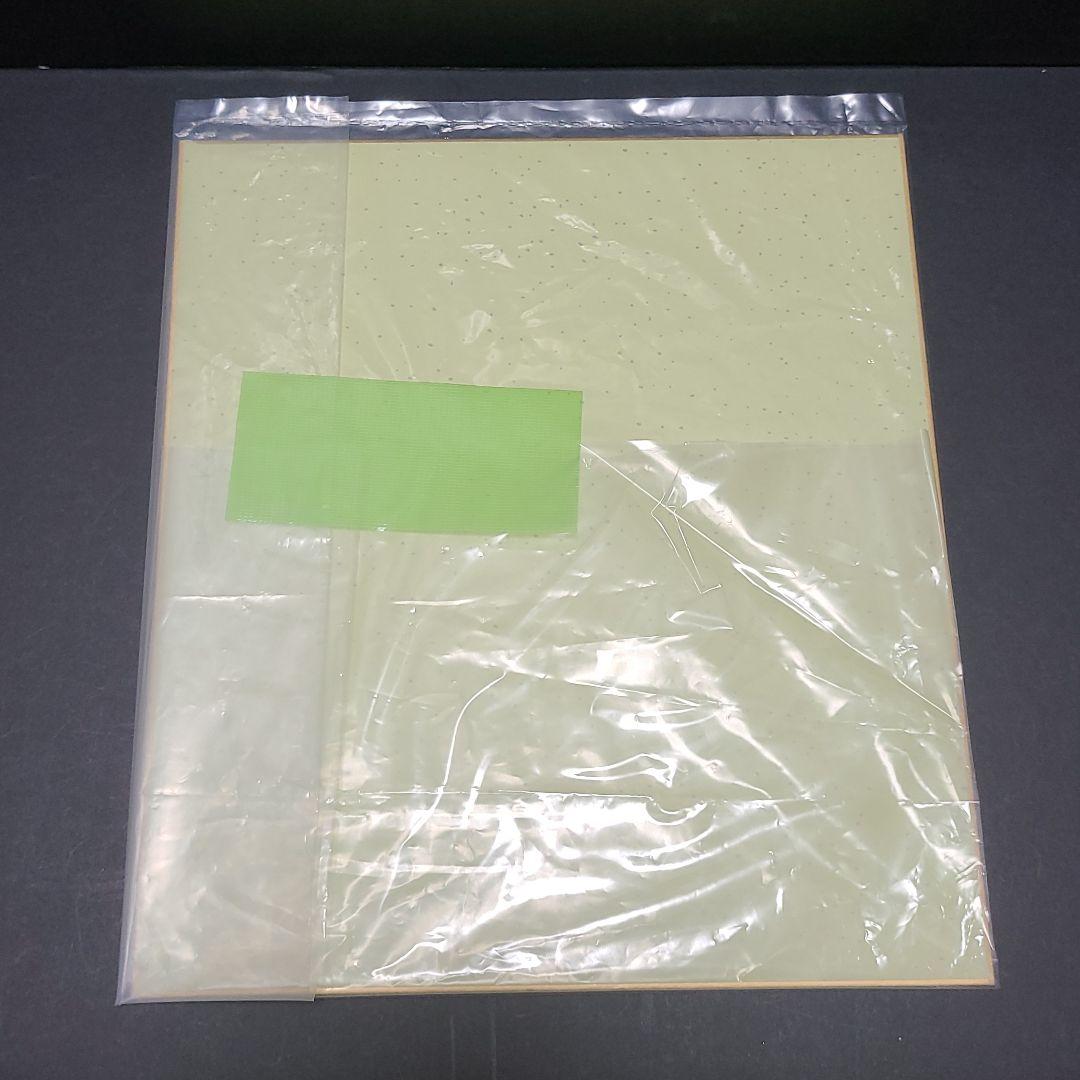 美少女戦士 セーラームーン プリンセス・セレニティイラスト直筆サイン色紙