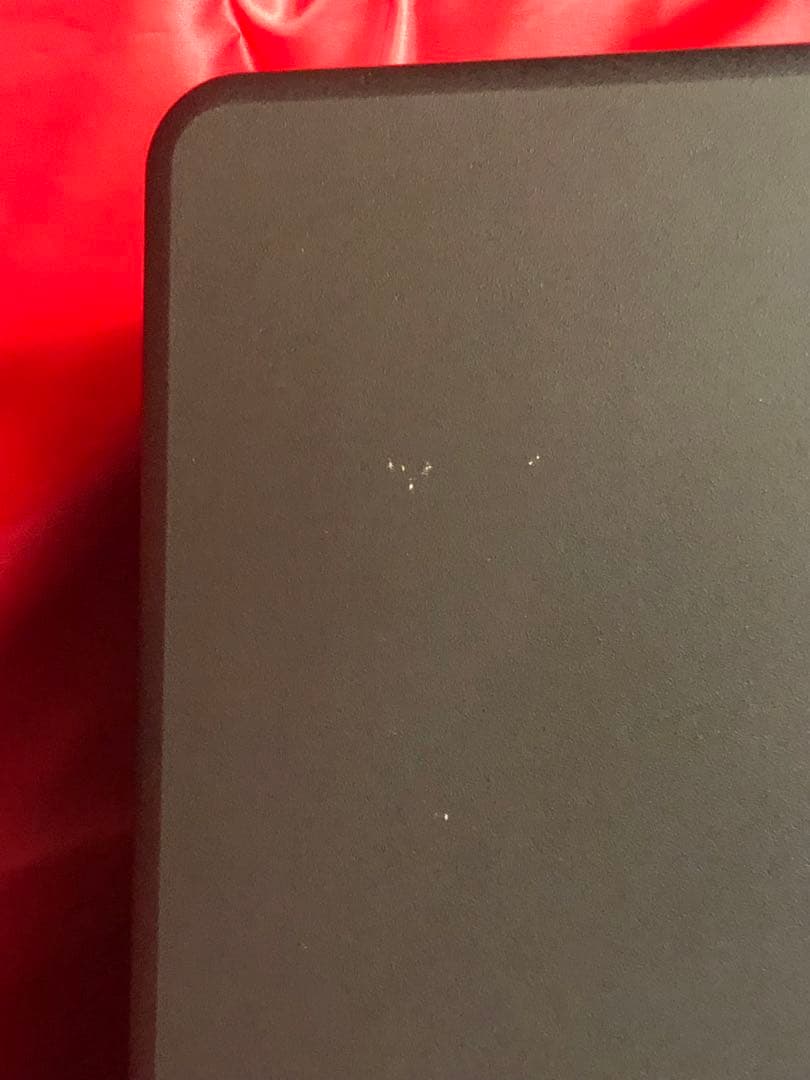 BOSE 301AVM スピーカー【美品】