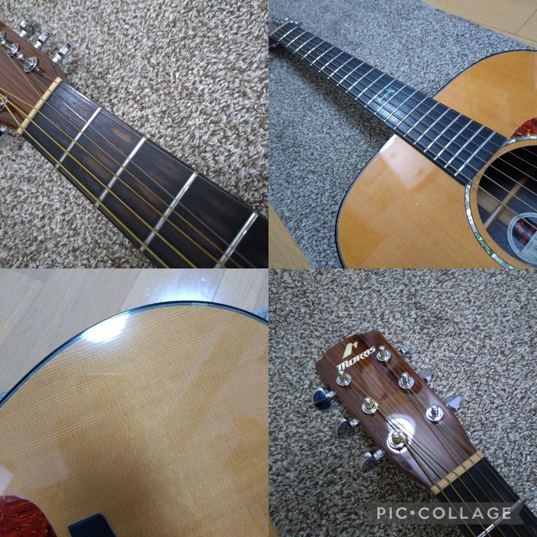 Morris エレアコ M-51GT アコースティックギター