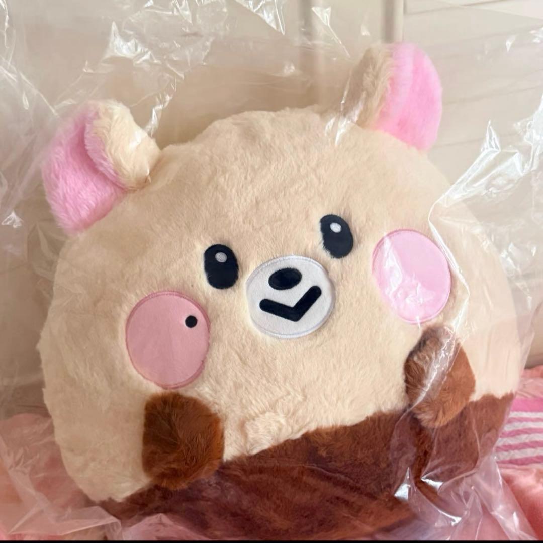 NCT Dreamiez フラットぬいぐるみクッション チソン