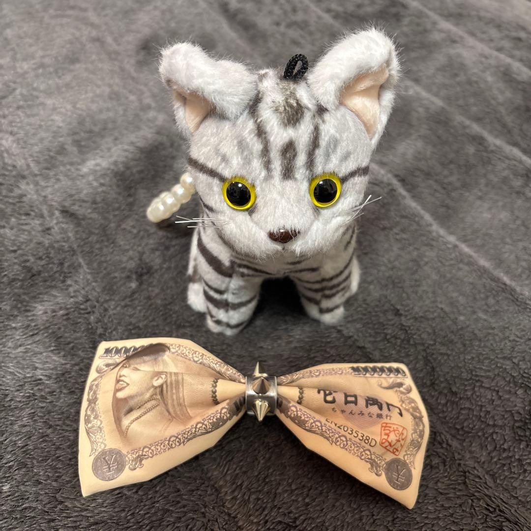 さわしらページ