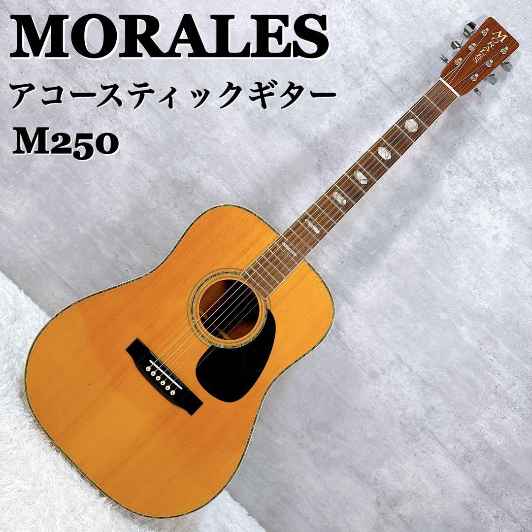 MORALES モラレス アコースティックギター M250 【K357】